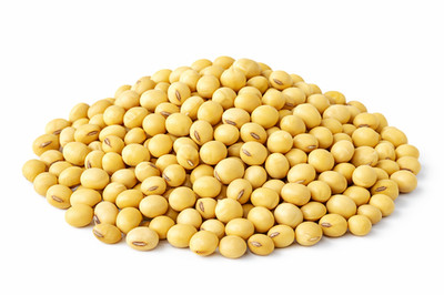 Getrocknete Sojabohnen Soja Bohnen Soy Bean 1kg-5kg-10kg-15kg-20kg-25kg 1A TOP