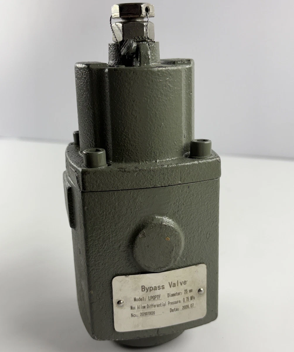LPGPTF LPG Bypass Valve 25mm 0.75 MPa Differential Pressure photo 2