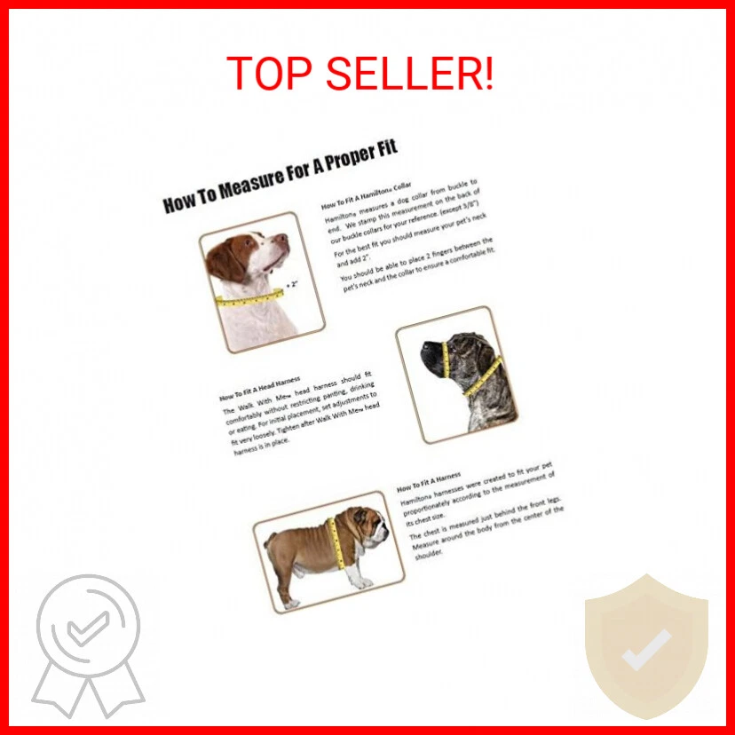 Hamilton Adjustable Nylon Dog Collar - Image 2 of 2