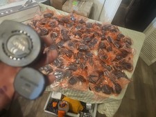  Lot Of 34 Alpha Spider Wrap SP131 3Alarm~70" Anti-Theft Locking Security Alarm 