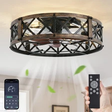 20" Caged Ceiling Fan With Light, APP&Remote Control, Small Flush Mount Farmh...