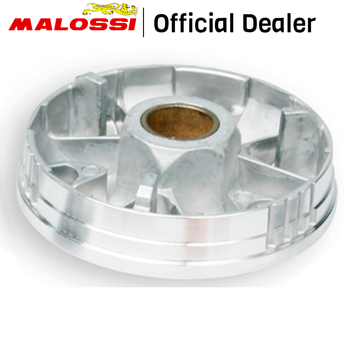 MALOSSI Multivar Variomatik Für Piaggio Zip SSL25 Sfera Gilera Easy Moving | Optimierte Beschleunigung & Top Speed