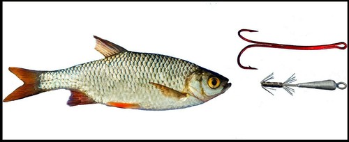 Bavaria Köderfisch-System Geschenk -Set GSUWV verschiedene Varianten - Bild 7 von 22