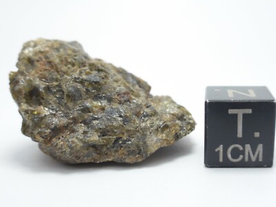 小物 nwa Top Rare NWA 12778 Carbonaceous Chondrite Meteorite CM2 Type