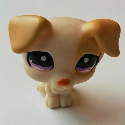 littlest pet shop around the world