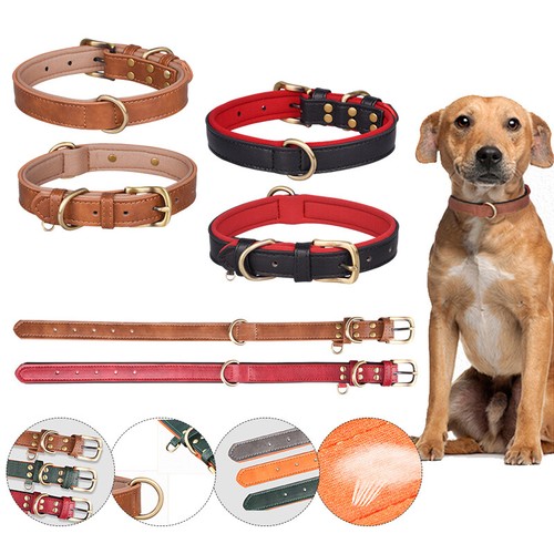 BPN3 Hundehalsband Aus Acryl – Mit Nieten, Verstellbar Für Kleine Hunde (XS, Mehr Farben)