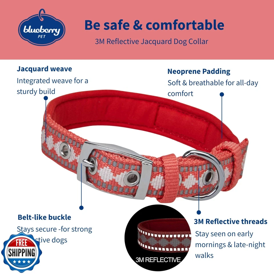 蓝莓宠物反光提花狗项圈带氯丁橡胶衬垫和金属 — 第 2/4 张图片