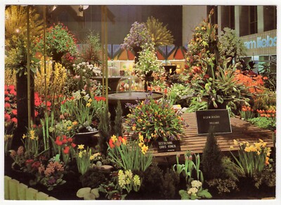 Postcard Berlin/International Green Week, Flower Hall with Spring Flowers, 1980 