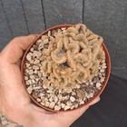 Foto 20 di 24