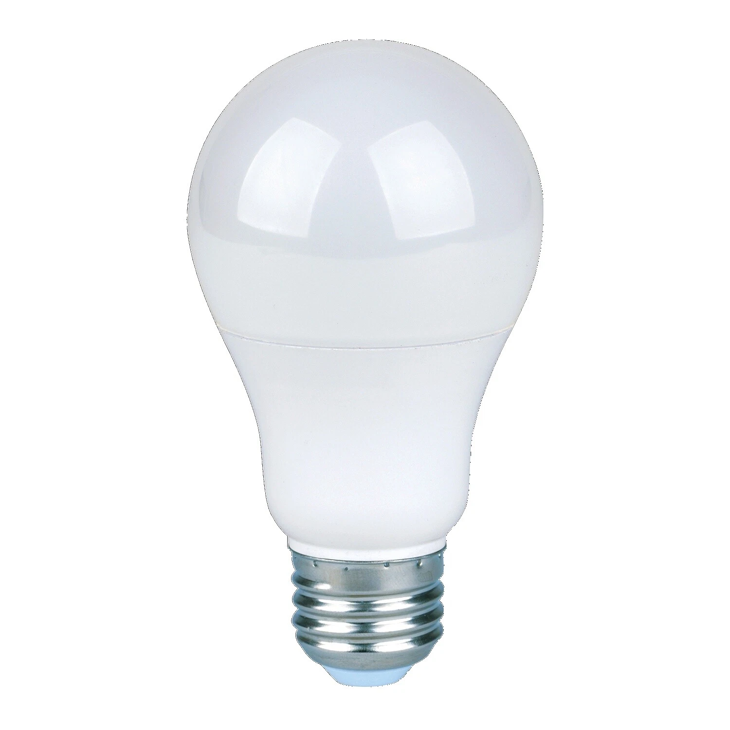 6 V Light Bulbs