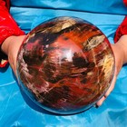 16.45 LB Large Natural Petrified Wood Agate Sphere Crystal Healing Specimen 4067 — photo 6
