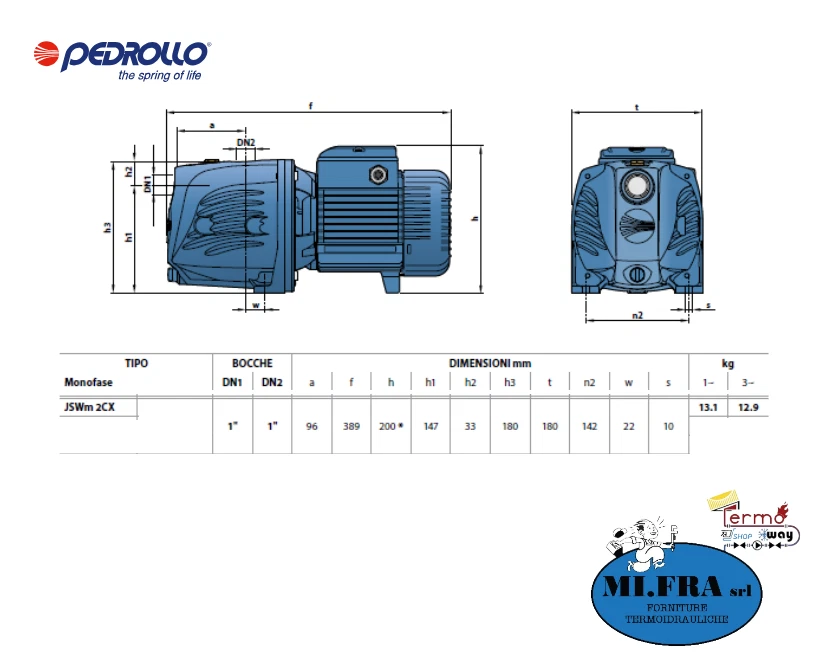 Elettropompa Pedrollo JSWm 2CX HP 1 220v Autoadescante Centrifuga x autoclave - Immagine 3 di 4