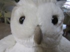 JELLYCAT "WOODLAND BABE CREAM OWL" NWT 11" — photo 6