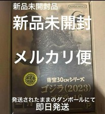 Toho 30 Series Godzilla 2023 Godzilla Shonen Rick Limited Edition