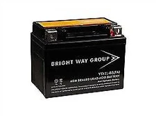 Yuasa YTX5L-BS Replacement Battery By Bright Way Group
