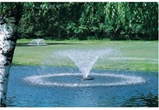 Kasco Aerating Fountain - 3/4 HP, 120V, 50-Ft. Cord