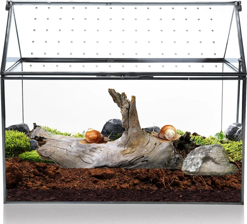10.3x8.3x5.9 inch Large Geometric Terrarium for Succulents & Small Creatures - Image 4 of 4