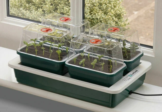 Hydroponic Heated Propagators