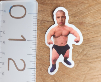 Sticker Funny Sticker Funny Decal Meme Sticker Meme Decal Joke