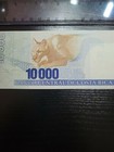 Foto 7 di 8