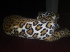 Leopard Stuffed Plush Animal * Brand New * Cute! * Flowers, Inc. Balloons Brand! — photo 8