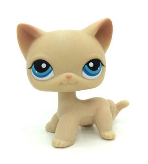Long hair cat lps top