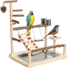 Natural Wood Bird Perch Stand Parrot Playground Play Gym