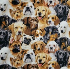 1yd x 44" 100 cotton, Elizabeth's Studio, Dog Breeds, Poodle, Pug, Bulldogs