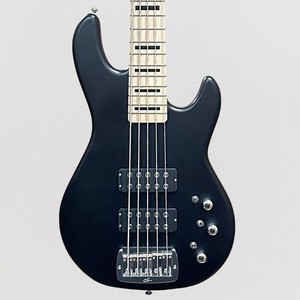 G&L L2500 | eBay