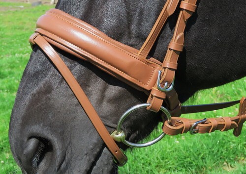 FSS Slimline Comfort Padded Trense CARAMEL LIGHT NUT TAN Kurbel Flash Cavesson ⭐ - Bild 2 von 5