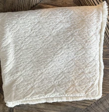 Jane Wilner Haute Couture Linens Euro Pillow Sham 24x24 Cotton Ecru Brocade