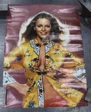 Cheryl Ladd original 1977 Pro Arts poster  Charlies Angel