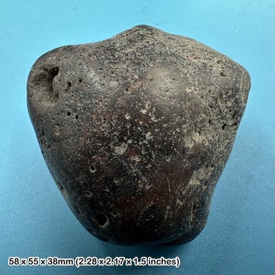 Jura Dinosaurier Gastrolith Magenstein Fossil - Morrison Formation,