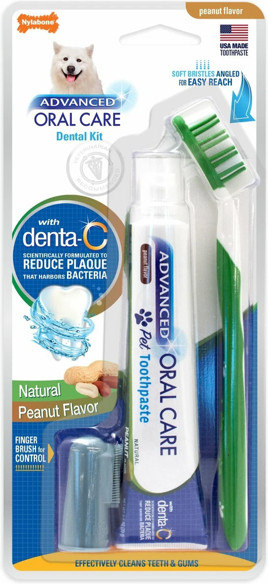 Nylabone advanced oral care dental clearance kit