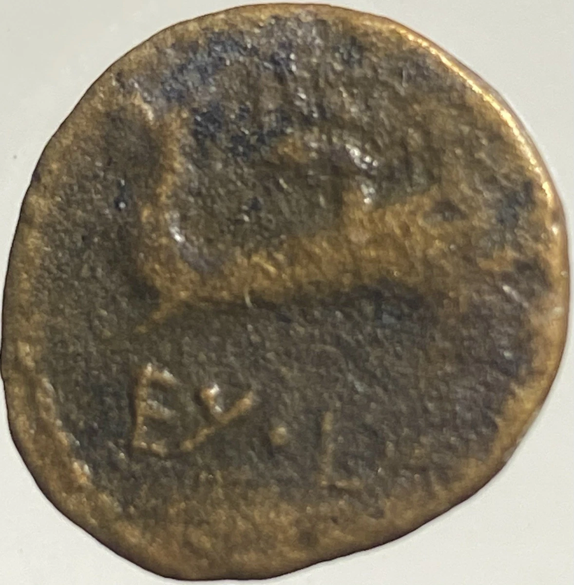 Fortuna Coin for sale | eBay