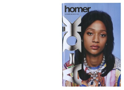 HOMER by FRANK OCEAN Catalog A-OK RARE BLONDED BOYS DONT CRY