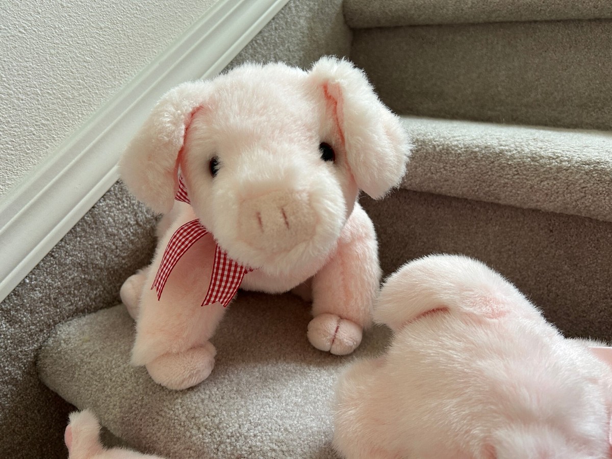 Ty Classic&Beanie Pigs: Petunia, Tulip, Arnold, 2 Baby Petunia