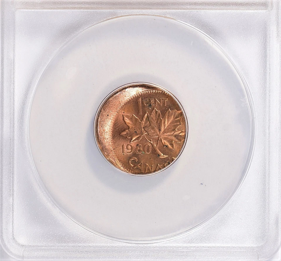 1980 Canada 1 Cent Struck 20% Off Center ANACS MS-62 RB 1c - Image 4 of 4