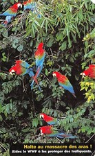 BR44063 Halte au massacre des aras parot papaggale birds oisseaux animaux animal
