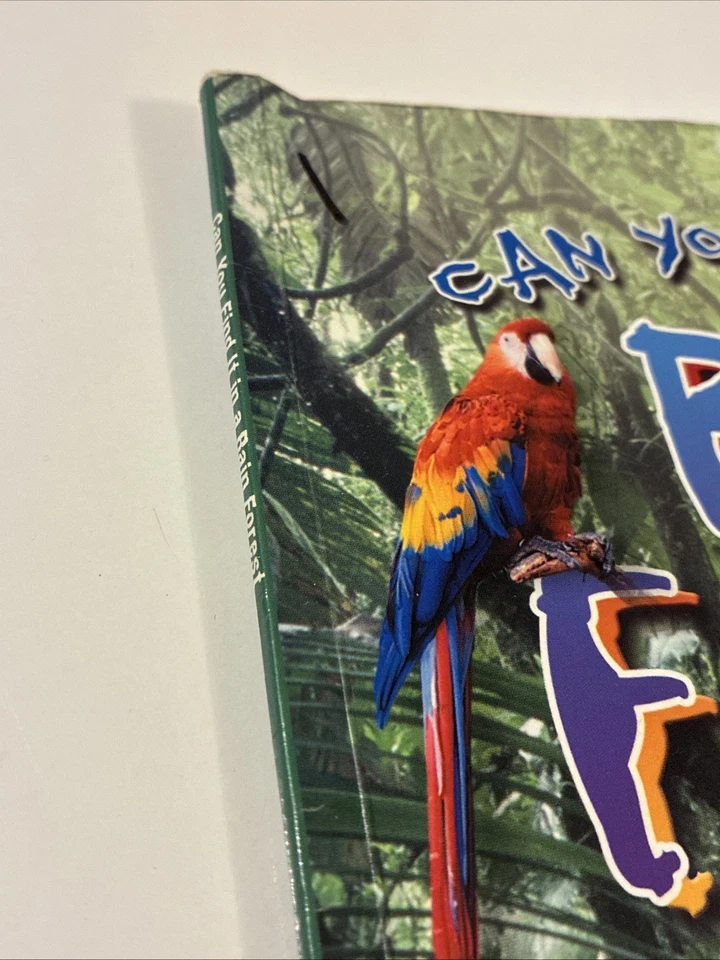 Can You Find It in a Rain Forest - Paperback By Dee Phillips - VERY GOOD - Image 2 of 4