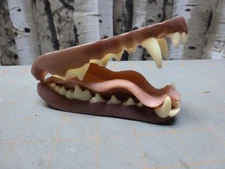 Mohr Coyote Relaxed Jawset & Tongue for Open Mouth Head TAXIDERMY 450