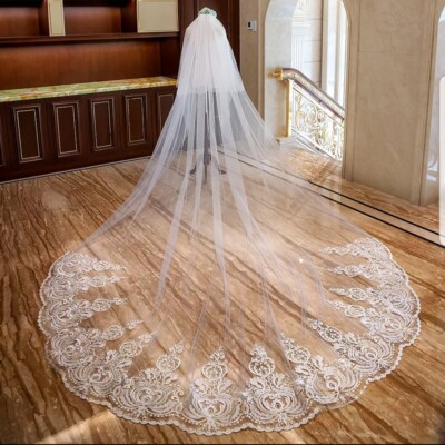 Luxury 2 Tier 3.5M Cathedral Length Bridal Veil Lace Edge Wedding Veil With  Comb | eBay
