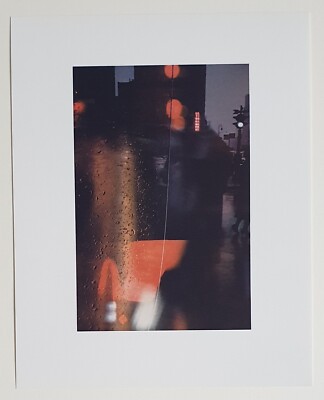 Collotypie Saul LEITER - Walk With Soames, 1958 - Atelier Benrido