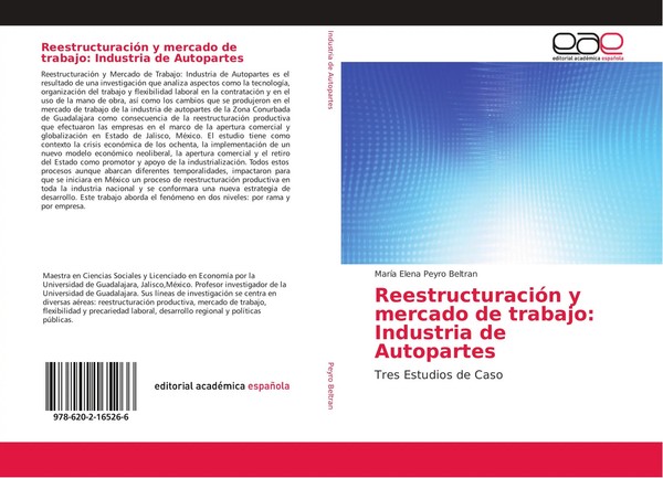 MaríA Elena Peyro Beltran | ReestructuracióN Y Mercado De Trabajo: Industria...-image