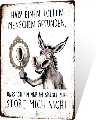 Decor Lustiges Metallschild Esel   Spiegel Spruch Wanddeko   Selbstliebe Humor G