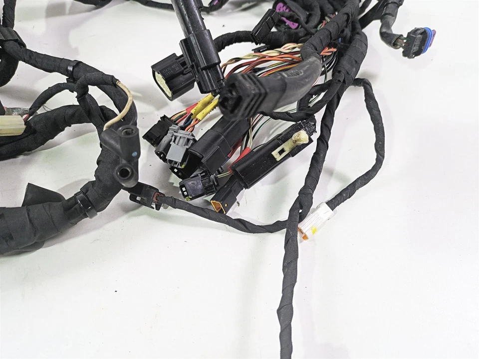 2020 Harley Softail FXST Standard Main Wiring Harness Non Abs - No Cut 69201493 - Image 2 of 4