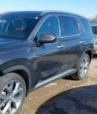 2020-2024 Hyundai Palisade LH Driver Roof Curtain Airbag OEM