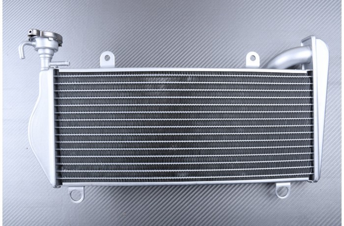 Radiateur eau supérieur Ducati Panigale 959 moto refroidissement liquide rechange de 2015-2019