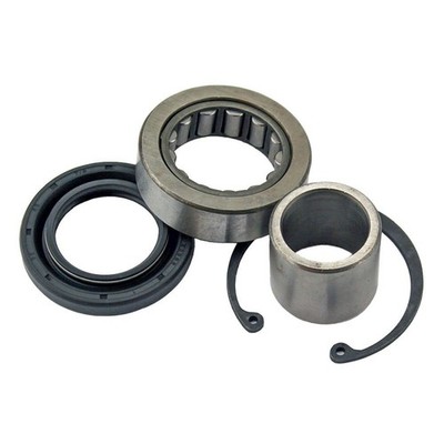Inner Primary Bearing and Seal Kit For 2012-2016 Harley FLD Dyna Switchback