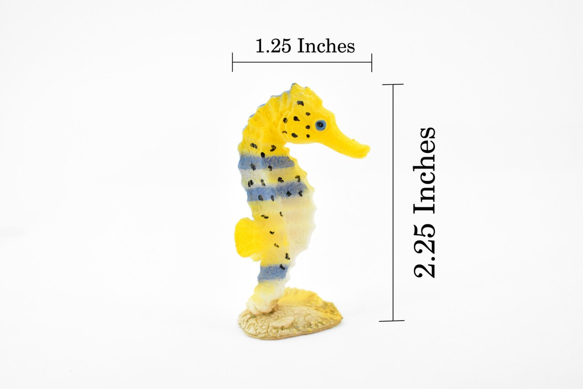 Sea Horse, Rubber Realistic Toy Figure, Model, Hand Painted, 2 .5